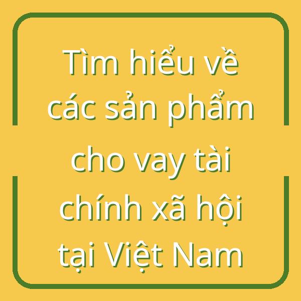 Tìm hiểu về các sản phẩm cho vay tài chính xã hội tại Việt Nam