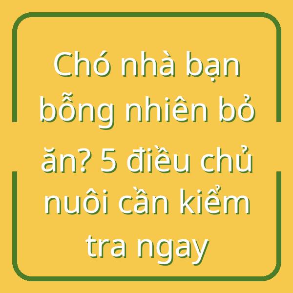Chó nhà bạn bỗng nhiên bỏ ăn? 5 điều chủ nuôi cần kiểm tra ngay