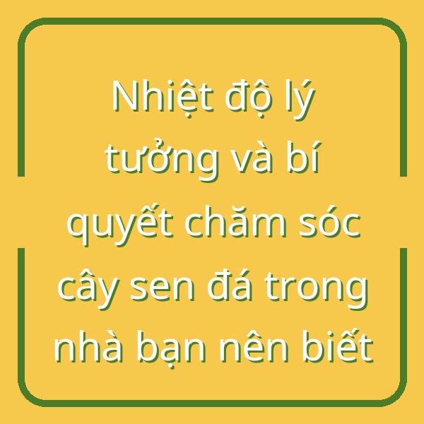 Nhiệt độ lý tưởng và bí quyết chăm sóc cây sen đá trong nhà bạn nên biết