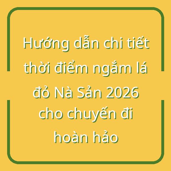 Hướng dẫn chi tiết thời điểm ngắm lá đỏ Nà Sản 2026 cho chuyến đi hoàn hảo