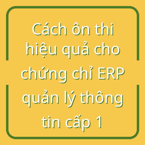 Cách ôn thi hiệu quả cho chứng chỉ ERP quản lý thông tin cấp 1