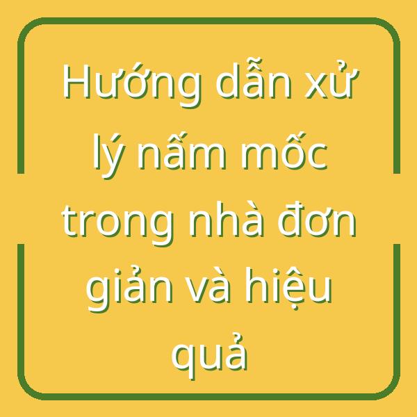 Hướng dẫn xử lý nấm mốc trong nhà đơn giản và hiệu quả
