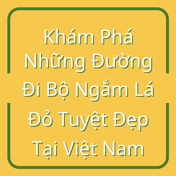Khám Phá Những Đường Đi Bộ Ngắm Lá Đỏ Tuyệt Đẹp Tại Việt Nam