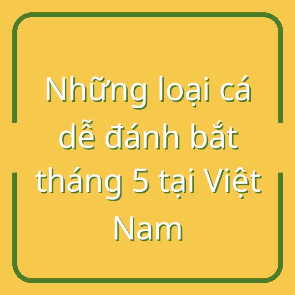 Những loại cá dễ đánh bắt tháng 5 tại Việt Nam