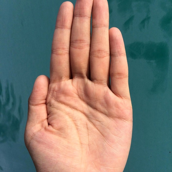 Tổng tài hôn nhân hợp đồng
