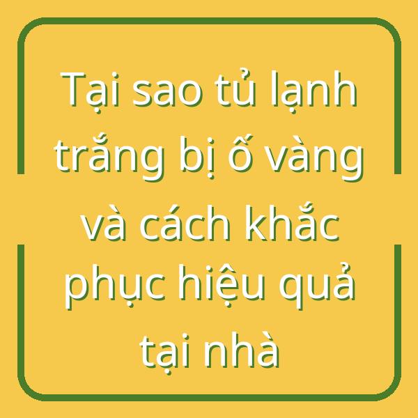 Tại sao tủ lạnh trắng bị ố vàng và cách khắc phục hiệu quả tại nhà