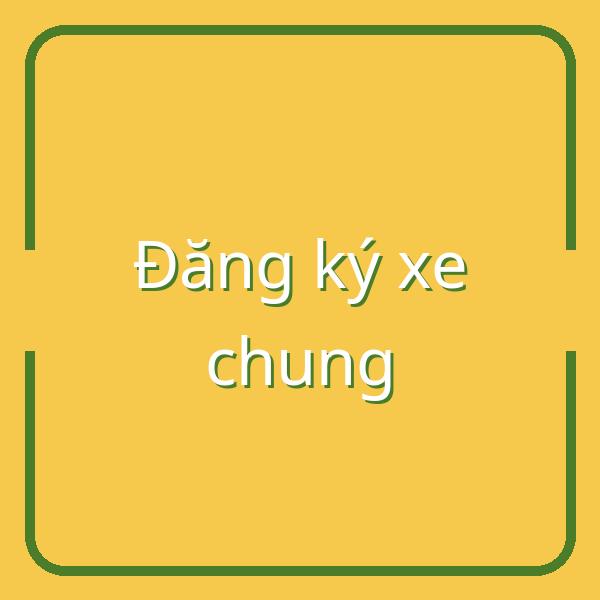 Hướng dẫn chi tiết đăng ký xe chung cho người khuyết tật tại Việt Nam