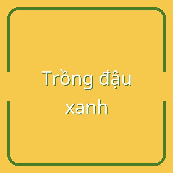 Hướng dẫn trồng đậu xanh: Thời điểm và phương pháp hiệu quả