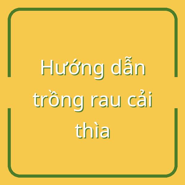 Hướng dẫn trồng rau cải thìa: Thời điểm, phương pháp và cách chế biến ngon miệng