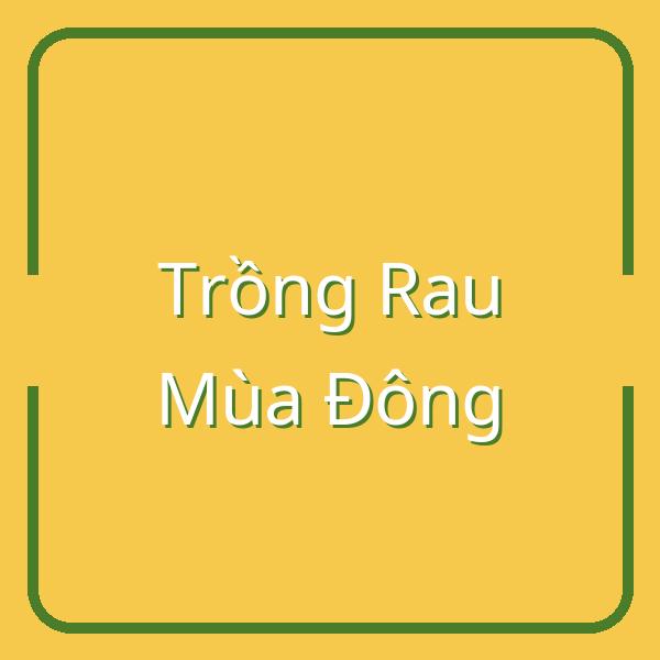 Hướng Dẫn Trồng Rau Mùa Đông: Thời Điểm, Kỹ Thuật và Thu Hoạch