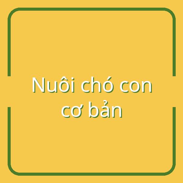 10 điều quan trọng bạn phải biết khi lần đầu nuôi chó con tại Việt Nam