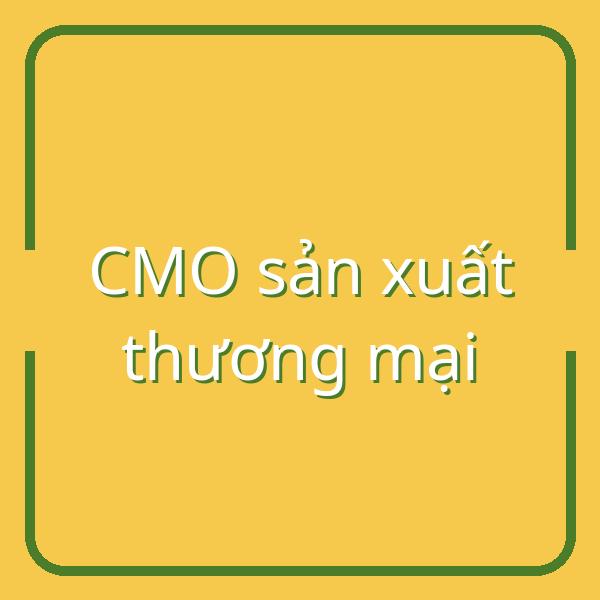 CMO sản xuất thương mại bùng nổ: Cơ hội phục hồi lợi nhuận cho doanh nghiệp dược Việt