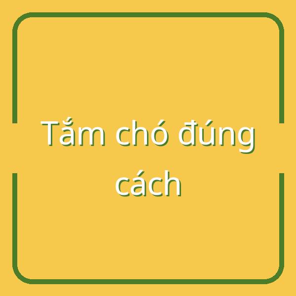 Hướng dẫn tắm cho chó đúng cách và những ưu nhược điểm bạn cần biết