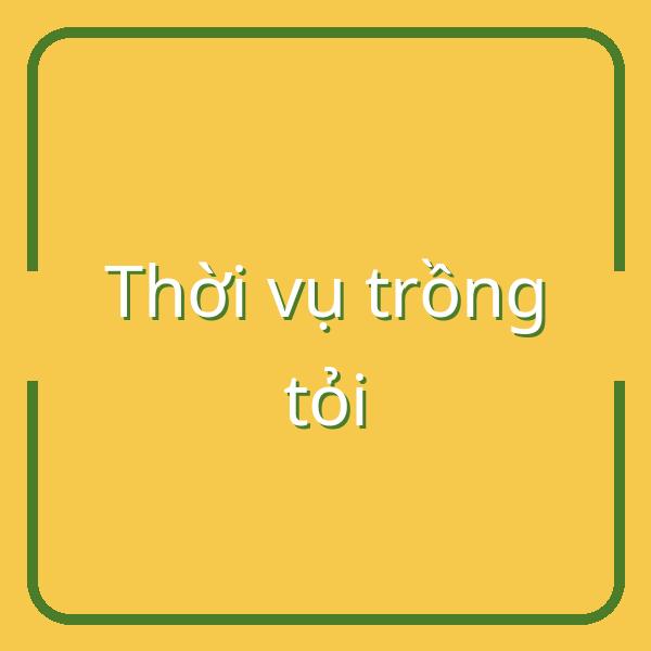 Tìm hiểu thời vụ trồng tỏi phù hợp theo từng vùng miền ở Việt Nam