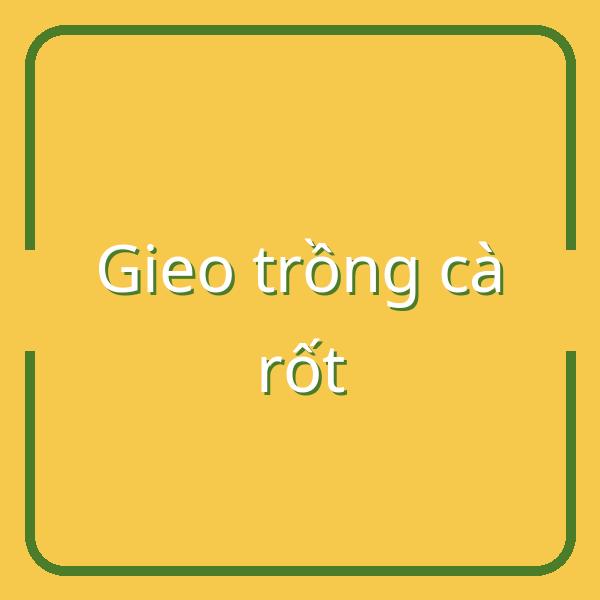 Hướng dẫn thời vụ và cách gieo trồng cà rốt hiệu quả cho mùa xuân và mùa thu