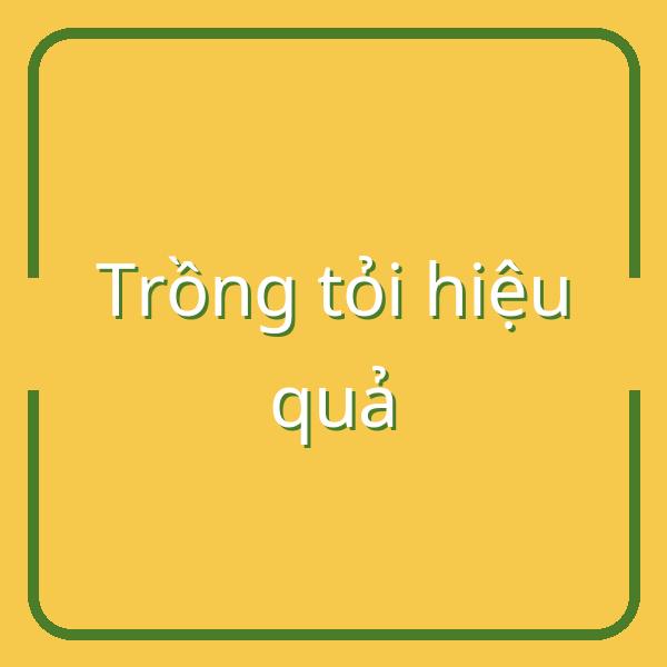 Hướng dẫn thời vụ trồng tỏi và kỹ thuật chăm sóc hiệu quả tại Việt Nam