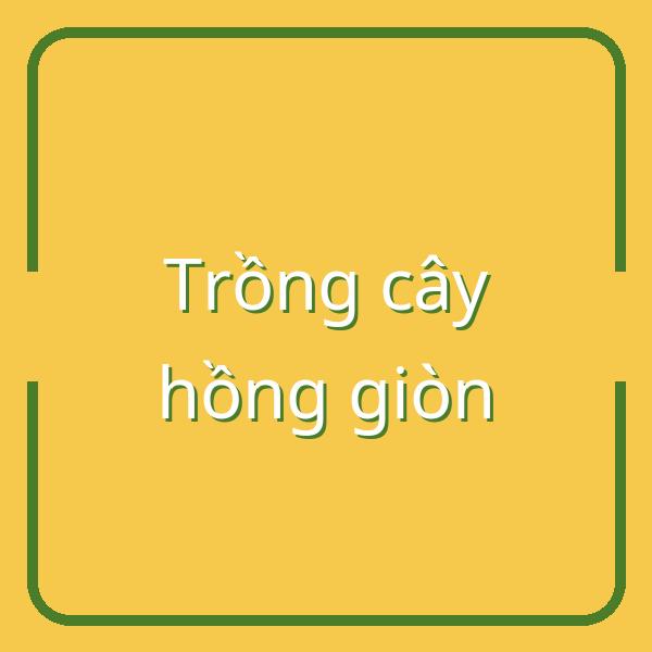 Hướng dẫn trồng, chăm sóc và thu hoạch cây hồng giòn đúng mùa tại Việt Nam