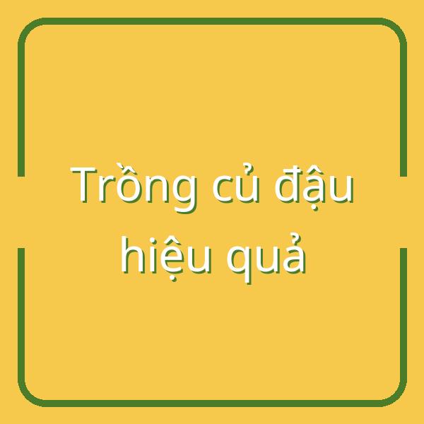 Hướng dẫn trồng củ đậu đúng mùa, thu hoạch và bảo quản hiệu quả tại Việt Nam