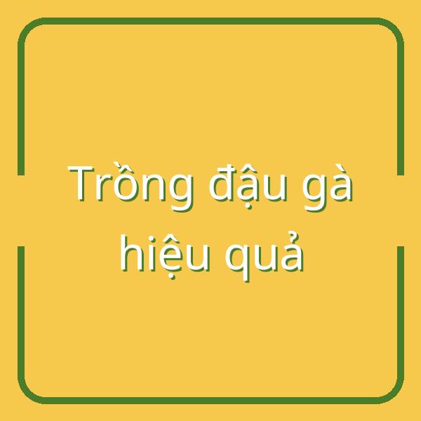 Hướng dẫn trồng đậu gà: Thời vụ, kỹ thuật và thu hoạch hiệu quả
