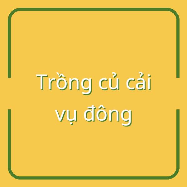 Bí quyết trồng củ cải vụ đông: kỹ thuật chăm sóc và thu hoạch hiệu quả