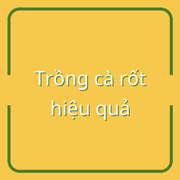 Hướng dẫn chi tiết thời vụ và kỹ thuật trồng cà rốt cho năng suất cao