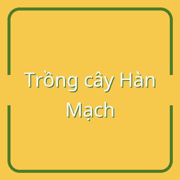 Hướng dẫn trồng, chăm sóc và thu hoạch cây Hàn Mạch hiệu quả tại Việt Nam