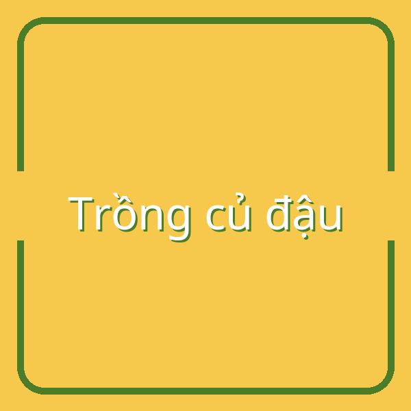 Hướng dẫn trồng củ đậu đúng mùa và cách bảo quản lâu dài tại nhà