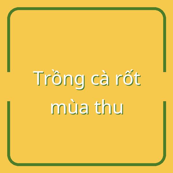 Hướng dẫn trồng cà rốt mùa thu: Thời vụ, kỹ thuật và thu hoạch hiệu quả