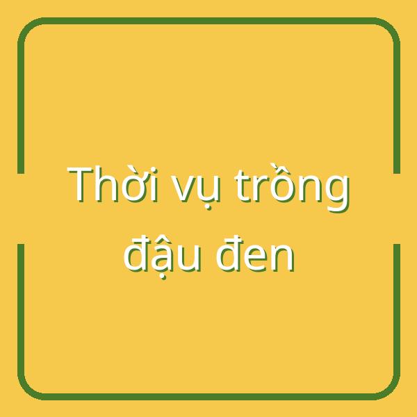 Tất tần tật về thời vụ trồng đậu đen: Cách chăm sóc và lợi ích sức khỏe