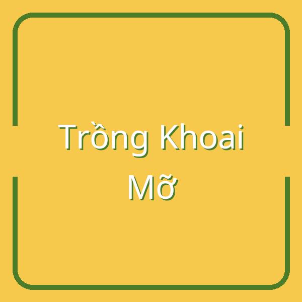 Khám Phá Cách Trồng Khoai Mỡ: Thời Điểm và Kỹ Thuật Tối Ưu
