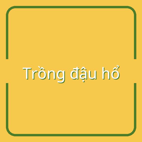 Hướng dẫn trồng đậu hổ: Thời điểm và bí quyết chăm sóc hiệu quả