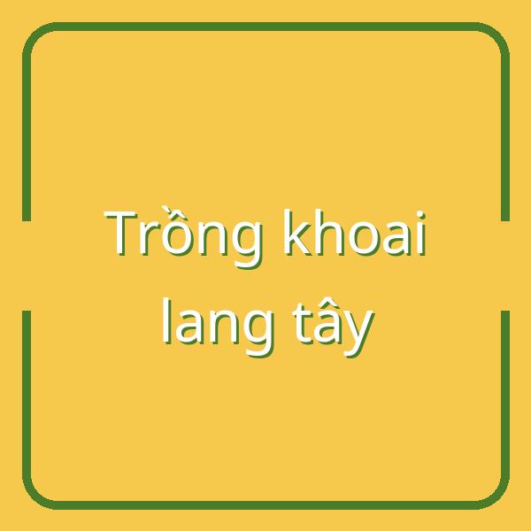 Hướng dẫn trồng và thu hoạch khoai lang tây: Thời điểm và lợi ích