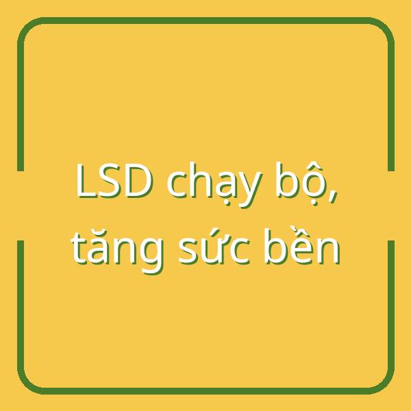 LSD Chạy Bộ Cho Người Mới: Bí Quyết Tăng Cường Sức Bền Hiệu Quả