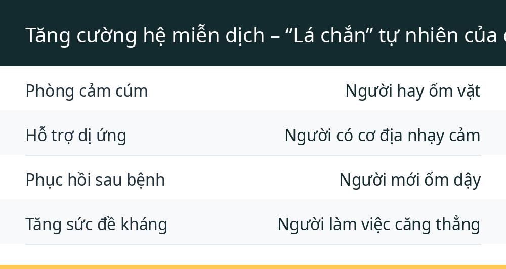 Tăng cường hệ miễn dịch – “Lá chắn” tự nhiên của cơ thể