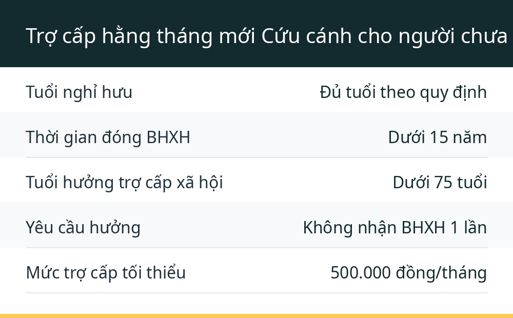 Trợ cấp hằng tháng mới Cứu cánh cho người chưa đủ 15 năm đóng BHXH