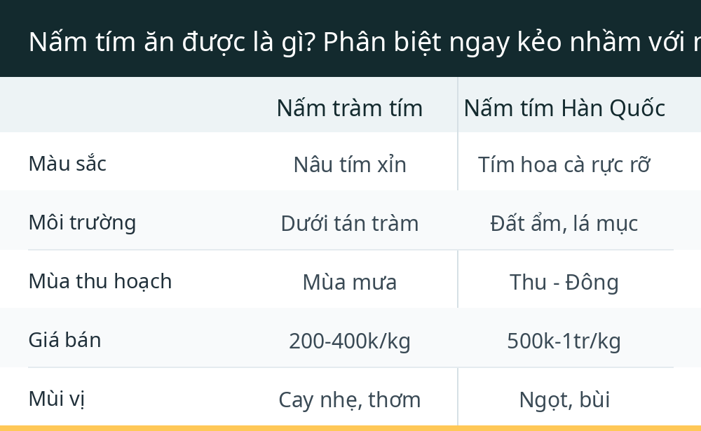 Nấm tím ăn được là gì? Phân biệt ngay kẻo nhầm với nấm độc