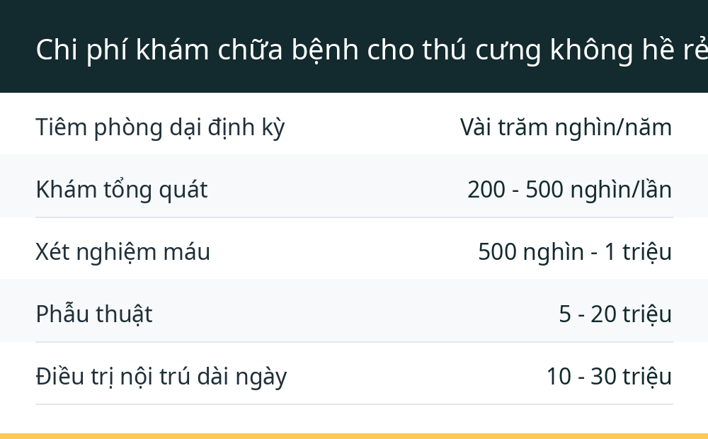 Chi phí khám chữa bệnh cho thú cưng không hề rẻ