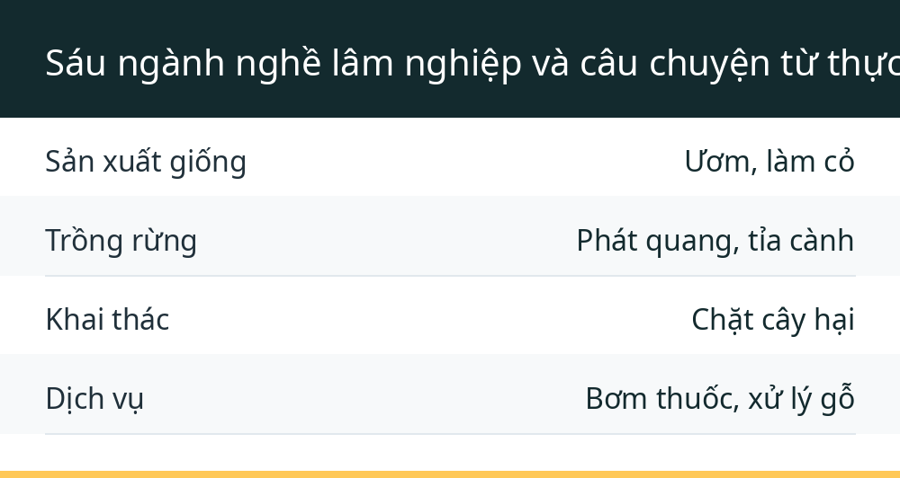 Sáu ngành nghề lâm nghiệp và câu chuyện từ thực tế