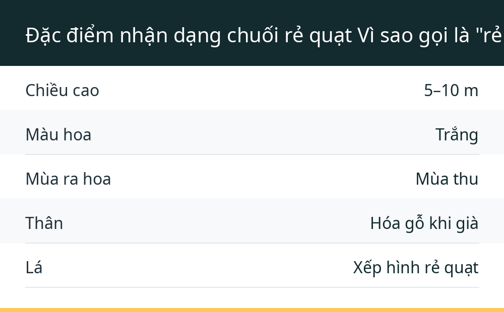 Đặc điểm nhận dạng chuối rẻ quạt Vì sao gọi là "rẻ quạt"?