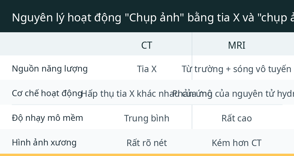 Nguyên lý hoạt động "Chụp ảnh" bằng tia X và "chụp ảnh" bằng từ trường