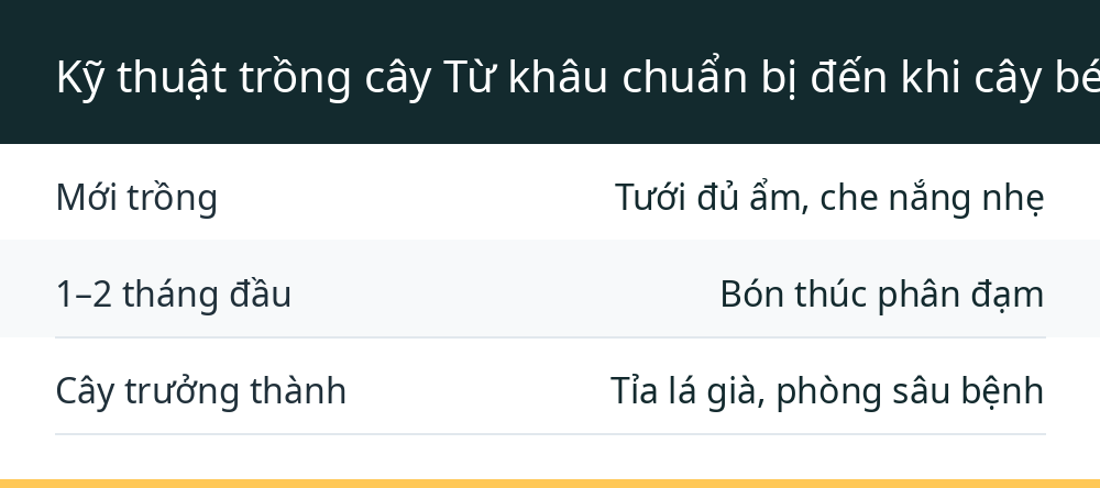 Kỹ thuật trồng cây Từ khâu chuẩn bị đến khi cây bén rễ
