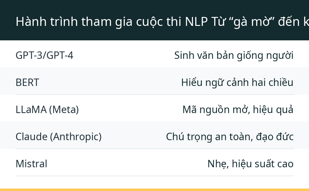 Hành trình tham gia cuộc thi NLP Từ “gà mờ” đến khi hoàn thành báo cáo