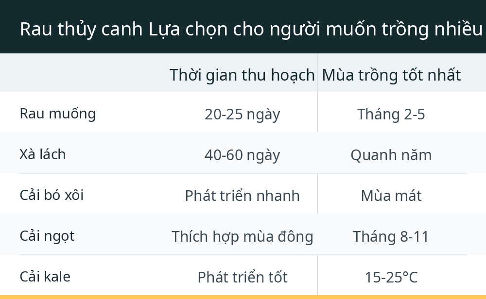 Rau thủy canh Lựa chọn cho người muốn trồng nhiều hơn