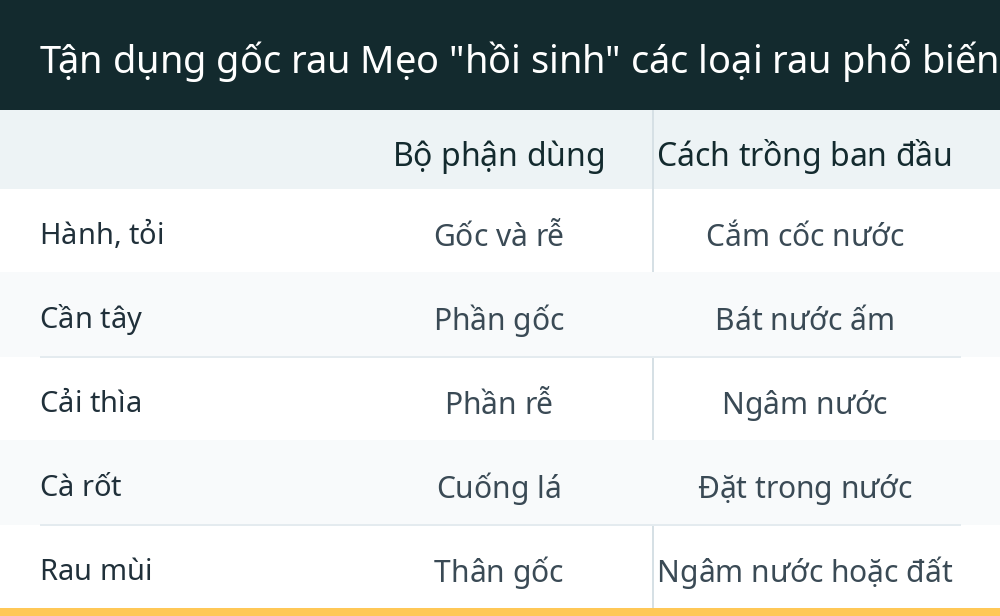 Tận dụng gốc rau Mẹo "hồi sinh" các loại rau phổ biến