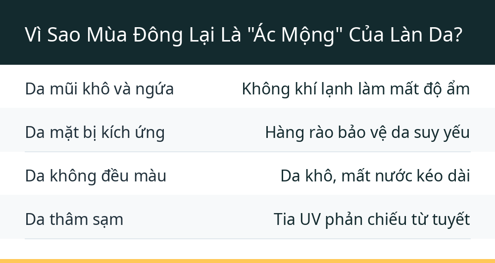 Vì Sao Mùa Đông Lại Là "Ác Mộng" Của Làn Da?
