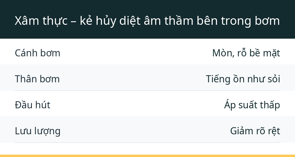 Xâm thực – kẻ hủy diệt âm thầm bên trong bơm